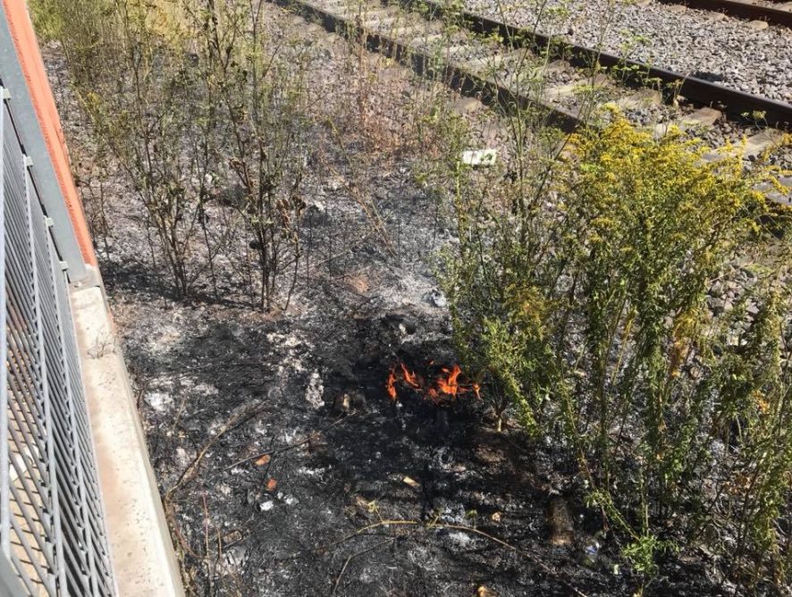 Brand Böschung im Bahnbereich