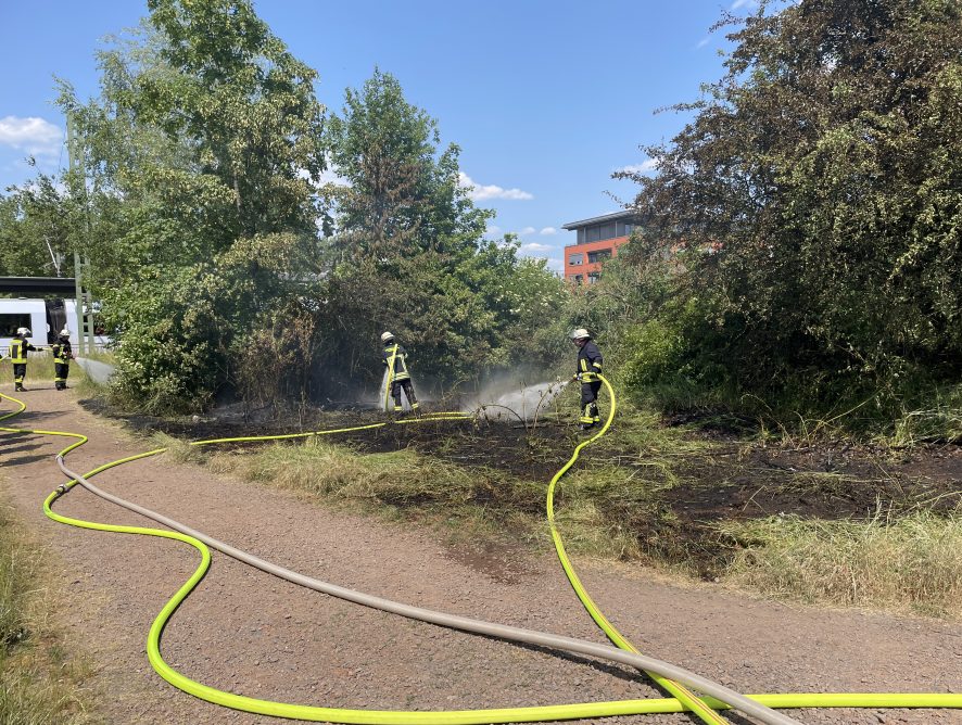 Flächenbrand