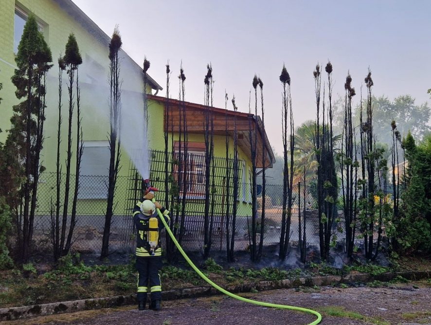 Brand Hecke/Gebüsch