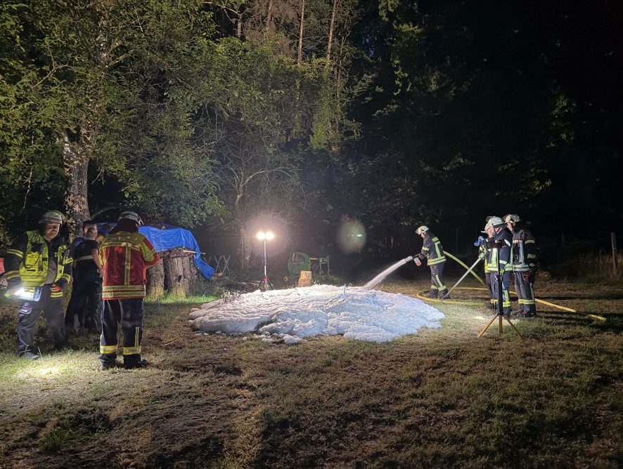 Brand Wald / Fläche groß