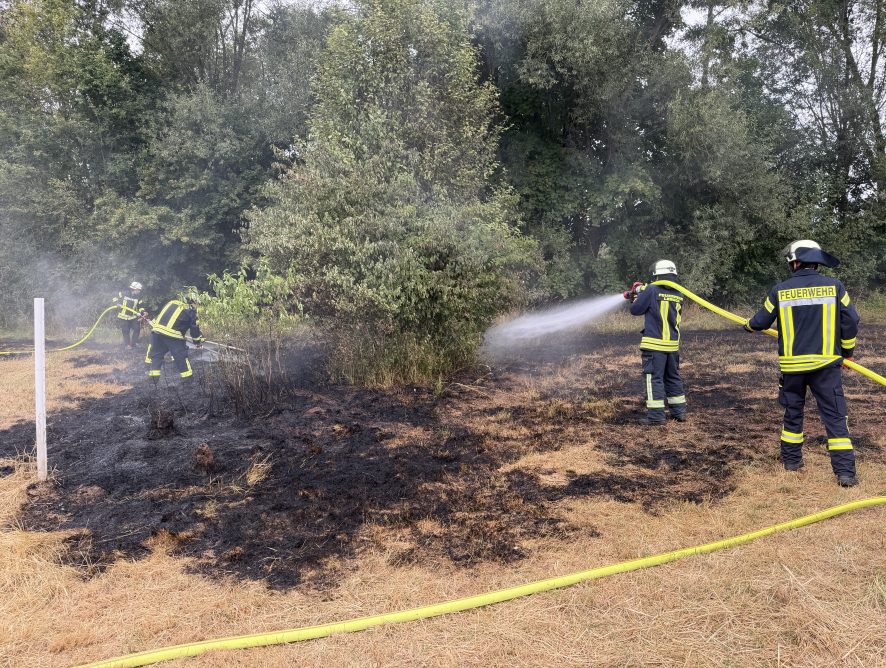 Waldbrand