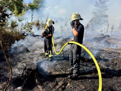 Flächenbrand in Bubach-Calmesweiler – Löschbezirke der Feuerwehr Lebach unterstützen Nachbargemeinde